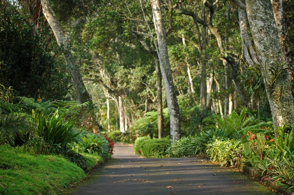 Makaranga Lodge Durban Extérieur photo