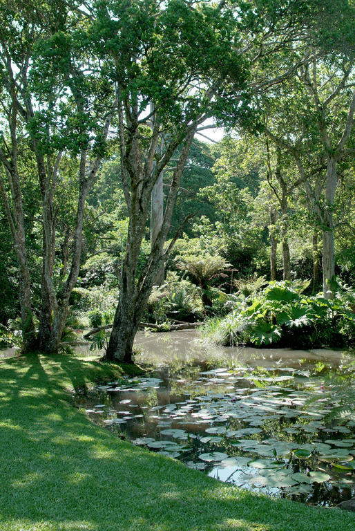Makaranga Lodge Durban Extérieur photo